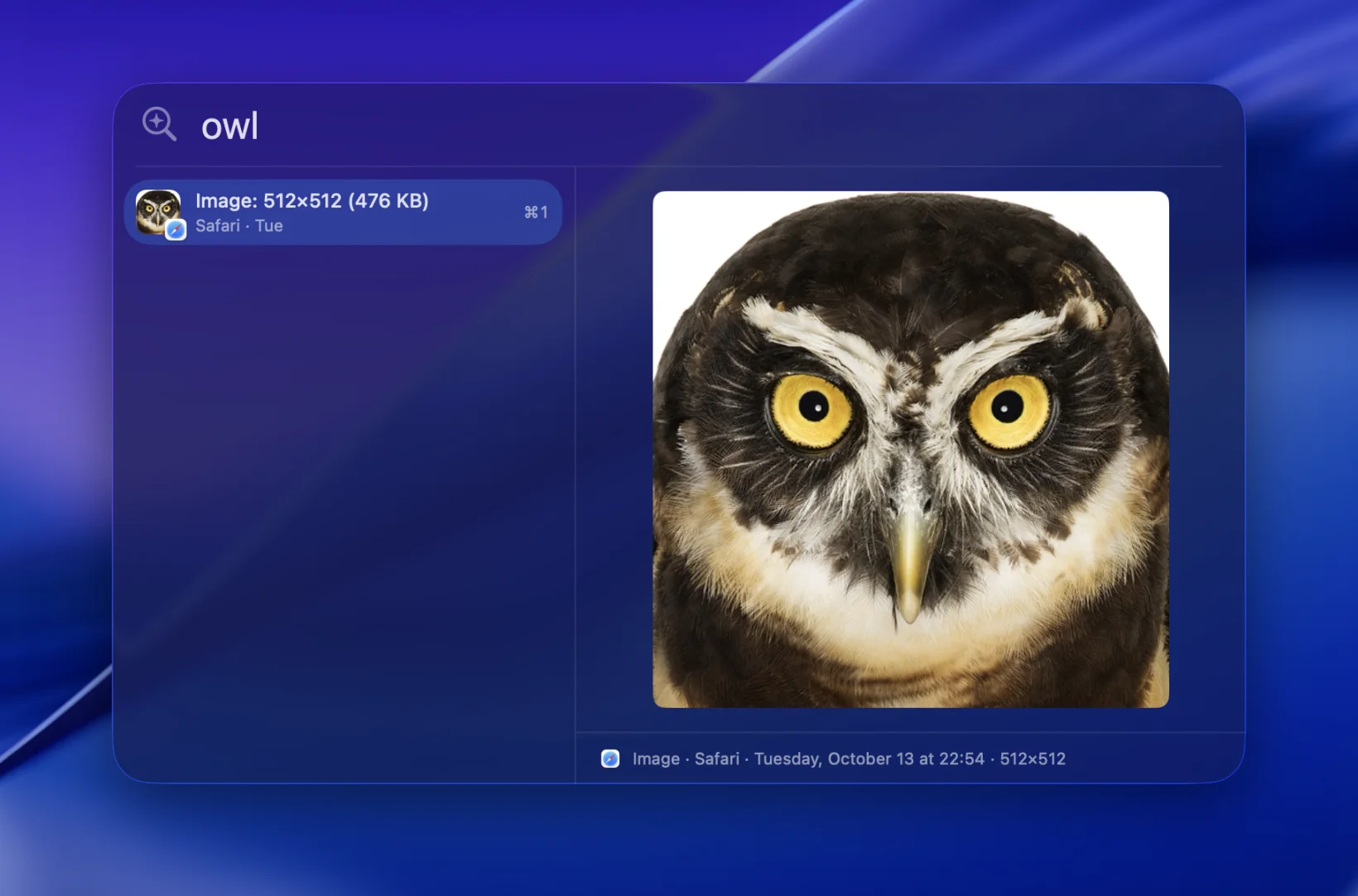 Searching “owl” finds a photo of an owl that has no text in it